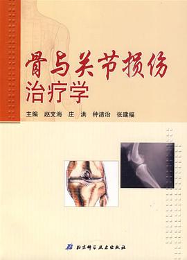 骨与关节损伤治疗学