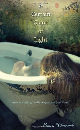 A Certain Slant of Light pdf epub mobi 电子书 下载