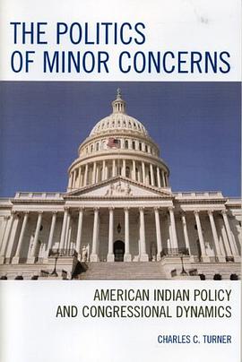 The Politics of Minor Concerns pdf epub mobi 电子书 下载