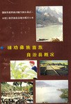 禄劝彝族苗族自治县概况 pdf epub mobi 电子书 下载