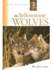 The Yellowstone Wolves: The First Year pdf epub mobi 电子书 下载