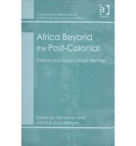 Africa Beyond the Post-Colonial pdf epub mobi 下载