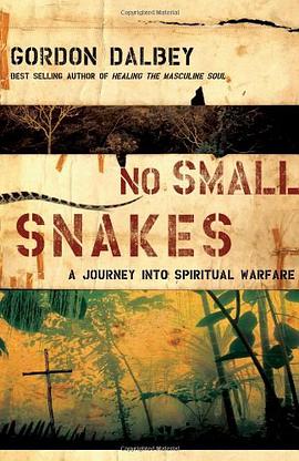No Small Snakes pdf epub mobi 電子書 下載