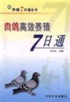 肉鸽高效养殖7日通