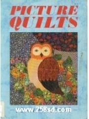 Picture Quilts pdf epub mobi 电子书 下载