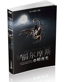 少年福尔摩斯 8 暗夜光 pdf epub mobi 电子书 下载