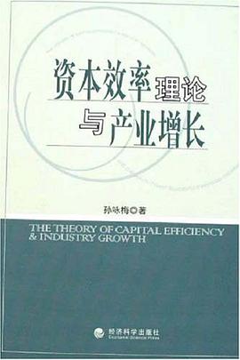 资本效率理论与产业增长