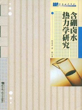 含硼卤水热力学研究 pdf epub mobi 电子书 下载