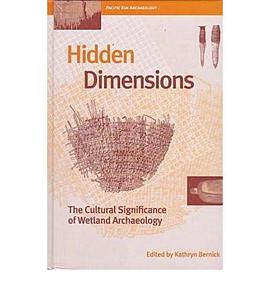 Hidden Dimensions pdf epub mobi 电子书 下载