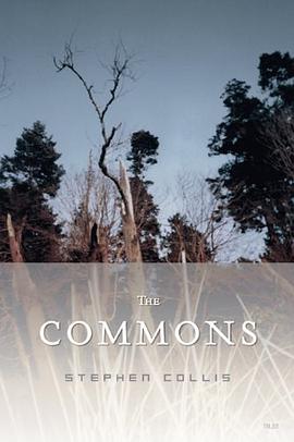 The Commons pdf epub mobi 电子书 下载