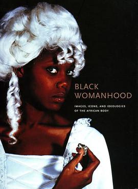 Black Womanhood pdf epub mobi 电子书 下载
