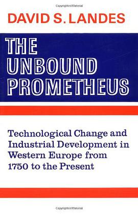The Unbound Prometheus pdf epub mobi 电子书 下载