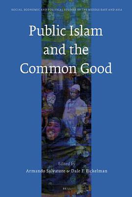 Public Islam and the Common Good pdf epub mobi 电子书 下载