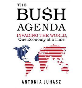 The Bush Agenda pdf epub mobi 电子书 下载