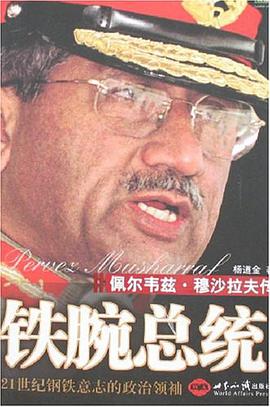 铁腕总统 pdf epub mobi 电子书 下载