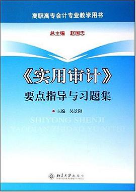 实用审计要点指导与习题集 pdf epub mobi 电子书 下载