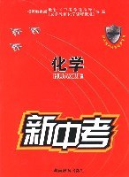新中考*化学仿真试卷 pdf epub mobi 电子书 下载