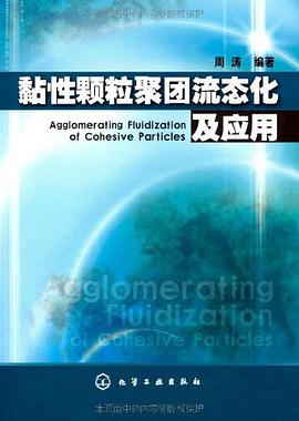 黏性颗粒聚团流态化及应用 pdf epub mobi 电子书 下载
