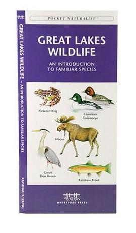 Great Lakes Wildlife