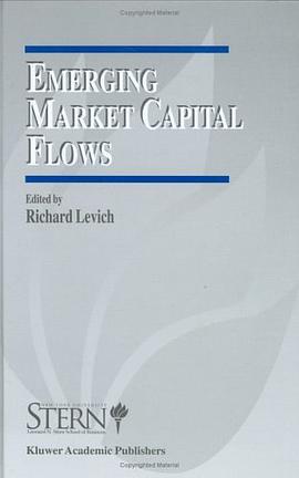 Emerging Market Capital Flows (The New York University Salomon Center Series on Financial Markets an pdf epub mobi 下载