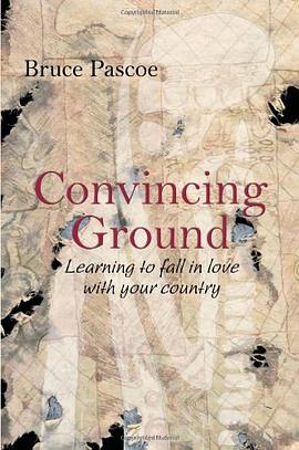 Convincing Ground pdf epub mobi 电子书 下载