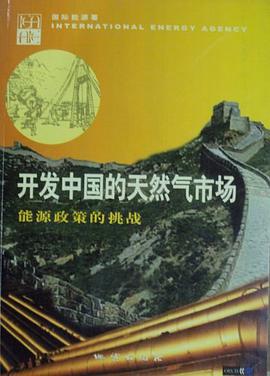 开发中国的天然气市场 pdf epub mobi 电子书 下载