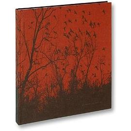 She Dances on Jackson