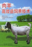 肉羊高效益饲养技术 pdf epub mobi 电子书 下载