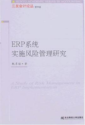 ERP系统实施风险管理研究 pdf epub mobi 电子书 下载