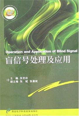 盲信号处理及应用 pdf epub mobi 电子书 下载