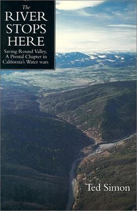 The River Stops Here pdf epub mobi 電子書 下載
