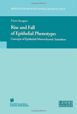 Rise and Fall of Epithelial Phenotype pdf epub mobi 电子书 下载