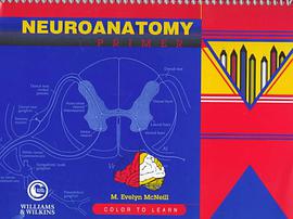 Neuroanatomy Primer