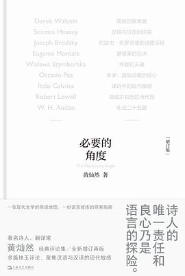 必要的角度 pdf epub mobi 电子书 下载