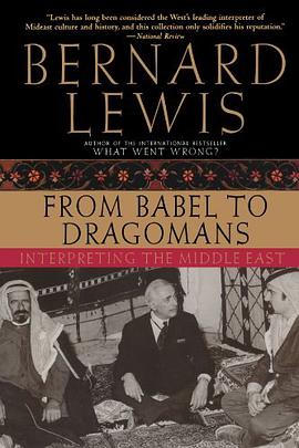 From Babel to Dragomans pdf epub mobi 电子书 下载