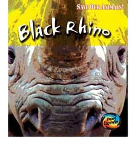 Black Rhino pdf epub mobi 电子书 下载