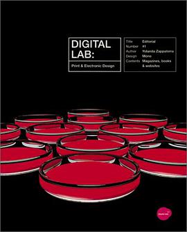 Digital Lab pdf epub mobi 电子书 下载