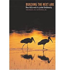 Building the Next Ark pdf epub mobi 电子书 下载