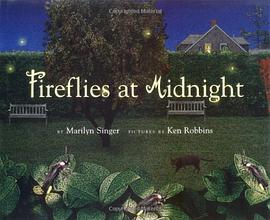 Fireflies at Midnight pdf epub mobi 电子书 下载