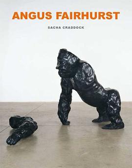 Angus Fairhurst pdf epub mobi 电子书 下载