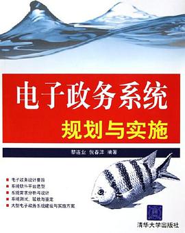 电子政务系统规划与实施 pdf epub mobi 电子书 下载