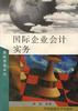 国际企业会计实务 pdf epub mobi 下载