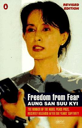 Freedom from Fear pdf epub mobi 电子书 下载