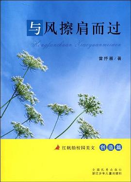 与风擦肩而过 pdf epub mobi 电子书 下载