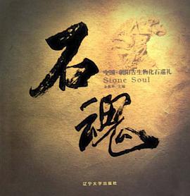 石魂 pdf epub mobi 電子書 下載