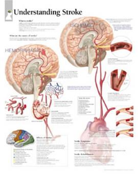 Understanding Strokes pdf epub mobi 电子书 下载