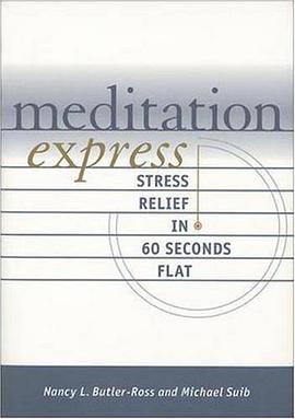 Meditation Express pdf epub mobi 电子书 下载