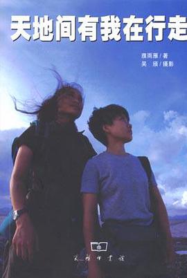 天地间有我在行走 pdf epub mobi 电子书 下载