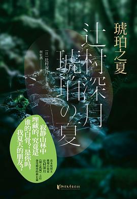 琥珀之夏 pdf epub mobi 电子书 下载