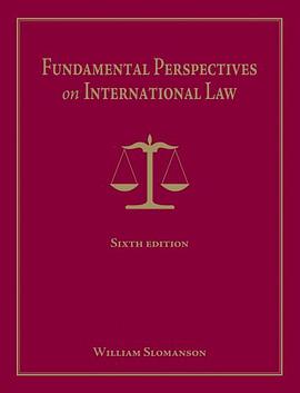 Fundamental Perspectives on International Law pdf epub mobi 电子书 下载